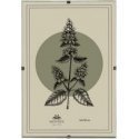 Mondex Since 1986 ADI frame 60x90 cm Antyrama Mondex Since 1986 ADI frame 60x90 cm Antyrama