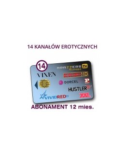 услуги доступа к каналам SUPERCHIC 14+ 14ch/12m VCC6