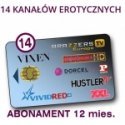 услуги доступа к каналам SUPERCHIC 14+ 14ch/12m VCC6 услуги доступа к каналам SUPERCHIC 14+ 14ch/12m VCC6