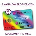 service access to ASTRA 5+ 5ch/12m VCC6 channels service access to ASTRA 5+ 5ch/12m VCC6 channels