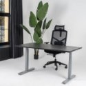 "Spacetronik Buddy 15" green adjustable desk "Spacetronik Buddy 15" green adjustable desk