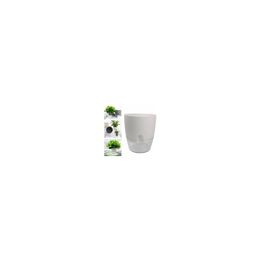 Oem ises laistuv puu – 14.5 cm – valge – kastmisüsteemiga