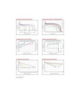 Npp Power Battery LFP LiFePO4 12.8V 24Ah T12