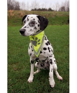 TRIXIE Neckerchief