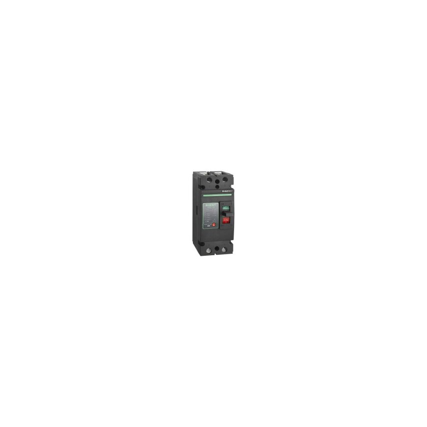 Beny DC Switch 2P, 125A, 500VDC