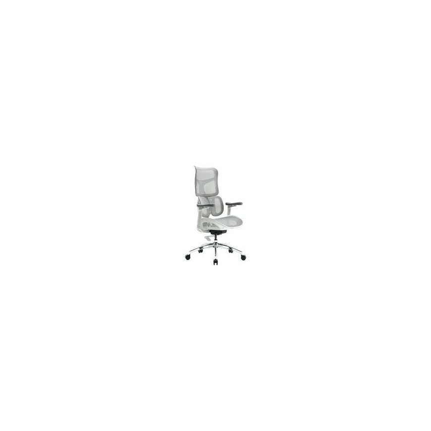 Spacetronik Office Chair Sukamasis Springle 22 Gray