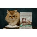 VETEXPERT Raaka Paleo Aikuisille Steriloiduille Kissoille - märkä kissanruoka - 100g VETEXPERT Raaka Paleo Aikuisille Steriloiduille Kissoille - märkä kissanruoka - 100g
