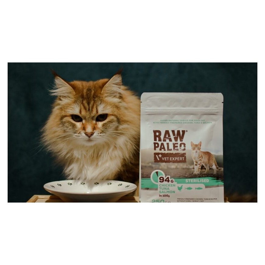 VETEXPERT Raw Paleo Kitten Tuna -