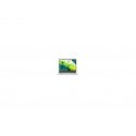 ACER NTB Aspire Go 16 (AG16-71P-75MQ), Core 7 150U, 16", 1920x1200, 16 GB, 1 TB SSD, Intel, W11 Home, tīra sudraba ACER NTB Aspire Go 16 (AG16-71P-75MQ), Core 7 150U, 16", 1920x1200, 16 GB, 1 TB SSD, Intel, W11 Home, tīra sudraba
