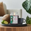 Yankee Candle Scented Mini Candle Set (3 pcs) – Black Cherry Yankee Candle Scented Mini Candle Set (3 pcs) – Black Cherry