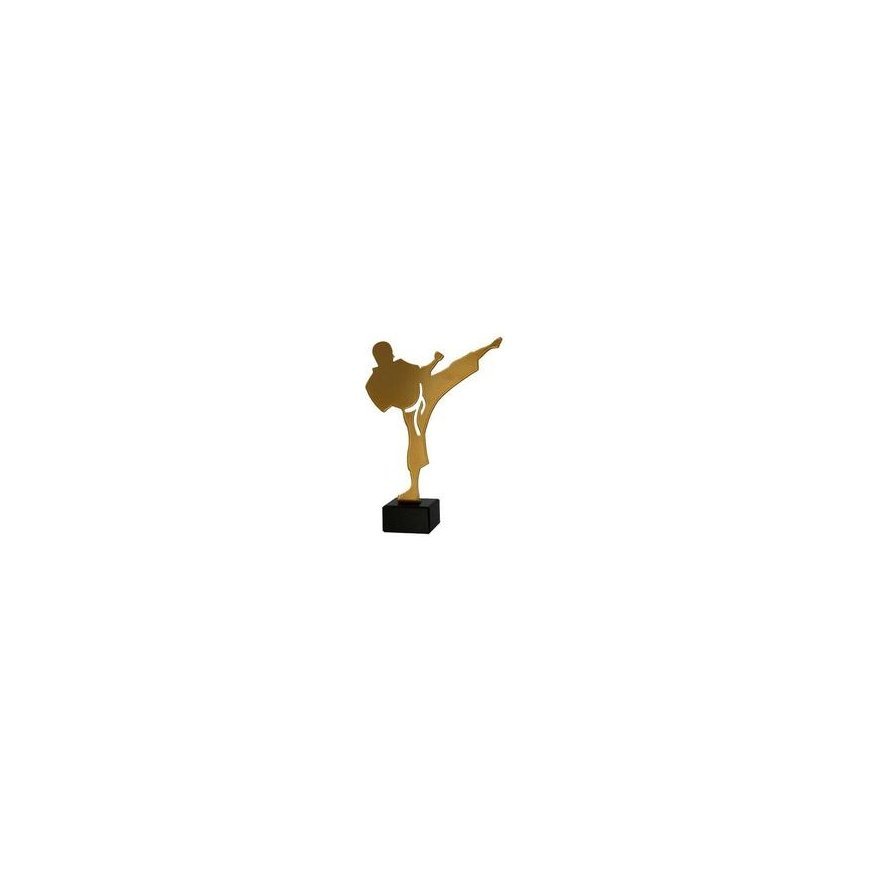 Metal Trophy with Marble Base - Karate - Karateka