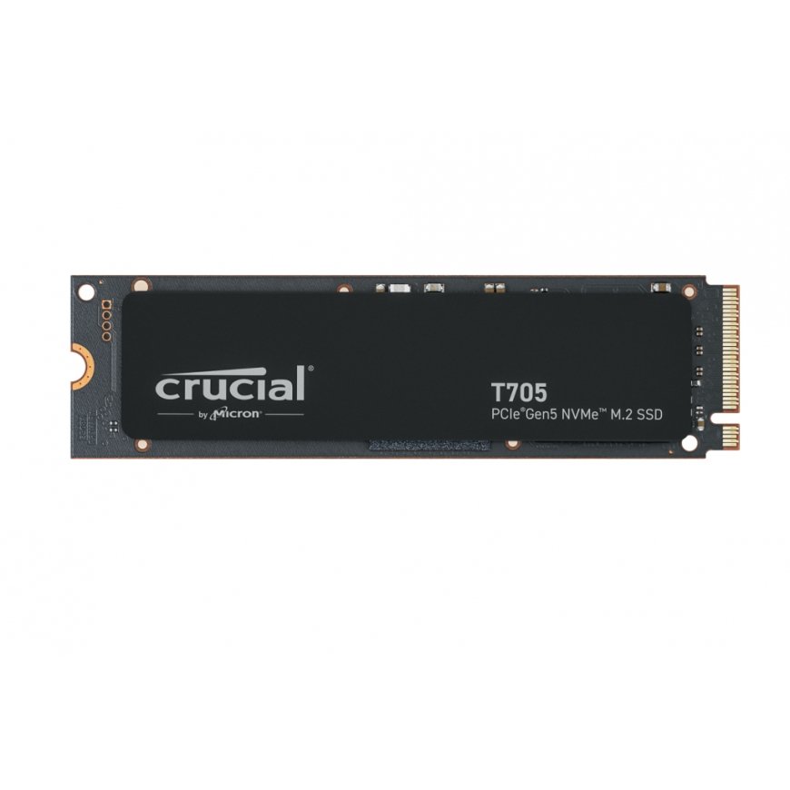 Crucial CT1000T705SSD3 SSD diskdzinis 1 TB