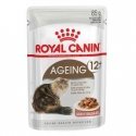 ROYAL CANIN FHN Кошки Пожилые 11+ Соус 12x85г