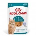 ROYAL CANIN FHN Kissa Ikääntyminen 11+ 4kg ROYAL CANIN FHN Kissa Ikääntyminen 11+ 4kg