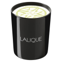Lalique, Osmanthus Himalaya Nepal, Osmanthus, Scented Candle, 19 Lalique, Osmanthus Himalaya Nepal, Osmanthus, Scented Candle, 19