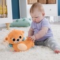 Fisher-Price 2-in-1 Rockin' Tummy Time Otter Fisher-Price 2-in-1 Rockin' Tummy Time Otter