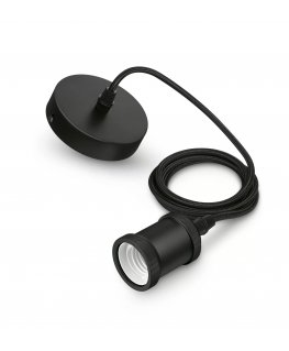 Philips Įprasta forma