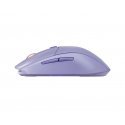 Steelseries 62525 pele Speļu Labā roka RF bezvadu sakari + Bluetooth Optisks 18000 DPI