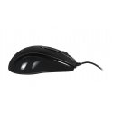 Activejet AMY-083 kompiuterio pelė Biuras Abiems rankoms USB A tipo Optinis 1000 DPI Activejet AMY-083 kompiuterio pelė Biuras Abiems rankoms USB A tipo Optinis 1000 DPI