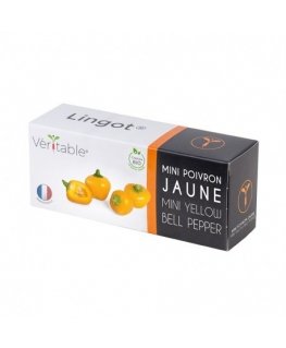 Véritable 3760262510613 growing kit/refill Yellow bell pepper