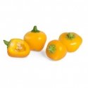 Véritable 3760262510613 growing kit/refill Yellow bell pepper Véritable 3760262510613 growing kit/refill Yellow bell pepper