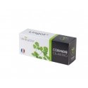 Véritable 3760262511030 growing kit/refill Cilantro Véritable 3760262511030 growing kit/refill Cilantro