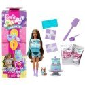 Barbie JFG72 lėlė