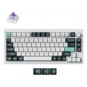 Keychron Q1 HE klaviatūra Universalus USB + RF Wireless + Bluetooth QWERTY Šiaurės šalių Balta