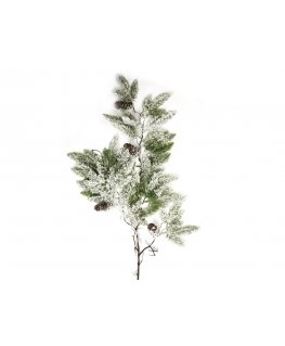 Eurofirany SW/G/249 88X48 GREEN+B