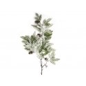 Eurofirany SW/G/249 88X48 ЗЕЛЕНЫЙ+B Eurofirany SW/G/249 88X48 ЗЕЛЕНЫЙ+B