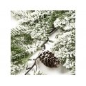 Eurofirany SW/G/249 88X48 ЗЕЛЕНЫЙ+B Eurofirany SW/G/249 88X48 ЗЕЛЕНЫЙ+B