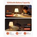 LED desk lamp with rechargeable battery, metal, 34 cm