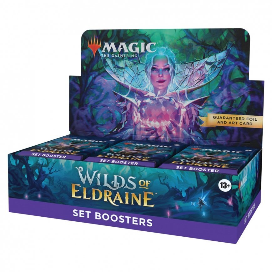 Wizards of the Coast Wizards of