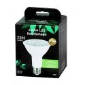Airam PAR30 LED лампа Белый 5300 K 9,5 W E27 F Airam PAR30 LED лампа Белый 5300 K 9,5 W E27 F