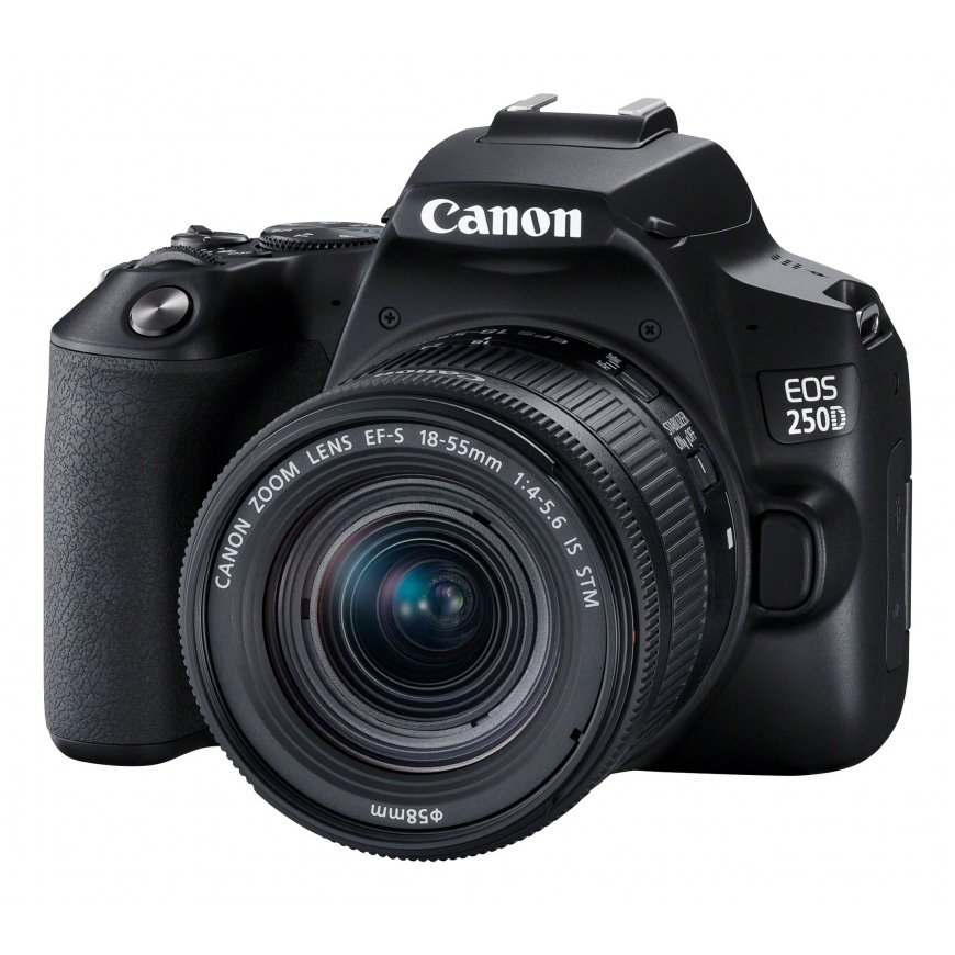 Canon EOS 250D+EF-S 18-55mm SLR Camera Kit 24.1 MP CMOS 6000 x 4000 pixels Black – 3