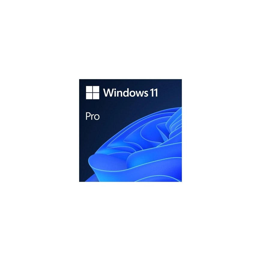 Microsoft Windows Pro 11 64 bitu Slovakija USB