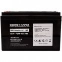 Extra Digital LiFePO4 Battery 12.8V, 42Ah
