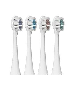 Be Lucent Prism Heads Multicolor
