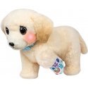 Moose Toys Little Live Pets Ouchies Puppy Cooper Moose Toys Little Live Pets Ouchies Puppy Cooper