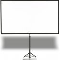 Epson Mobile X-Type Screen, 80" (16 : 9) - V12H002S21