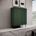 Cama Knygų spinta 2D2SZ ONDA 98x45xH127 žalia) Cama Knygų spinta 2D2SZ ONDA 98x45xH127 žalia)