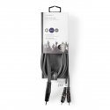 Nedis COTH22200GY30 audiokaabel 3 m 3.5mm 2 x RCA Hall