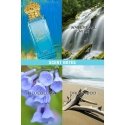 Juicy Couture Rock The Rainbow Bye Bye Blues Juicy Couture Rock The Rainbow Bye Bye Blues