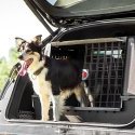 Ferplast Atlas Car Scenic Lemmikooma transpordikast autosse