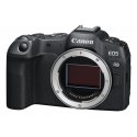 Canon EOS R8 MILC 24,2 MP CMOS 6000 x 4000 pikseļi Melns Canon EOS R8 MILC 24,2 MP CMOS 6000 x 4000 pikseļi Melns
