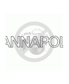 NekTool NE20100 10w1 multifunkcinis peilis khaki spalvos