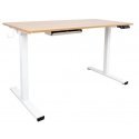 Home4You ERGO FIT Table with 1 Motor, White Home4You ERGO FIT Table with 1 Motor, White