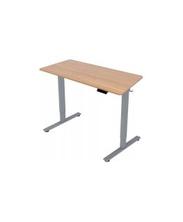 Home4You Stalas ERGO FIT su 1 varikliu 120x60xA71,5-116 cm, ąžuolo/sidabrinės pilkos spalvos