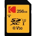 Kodak EKMSD256GXC10HPRK atminties kortelė 256 GB SDXC UHS-I Klasės 10 Kodak EKMSD256GXC10HPRK atminties kortelė 256 GB SDXC UHS-I Klasės 10
