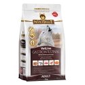 Wolfsblut VetLine Gastrointestinal 2 kg Suaugusių Antis, Saldžioji bulvė